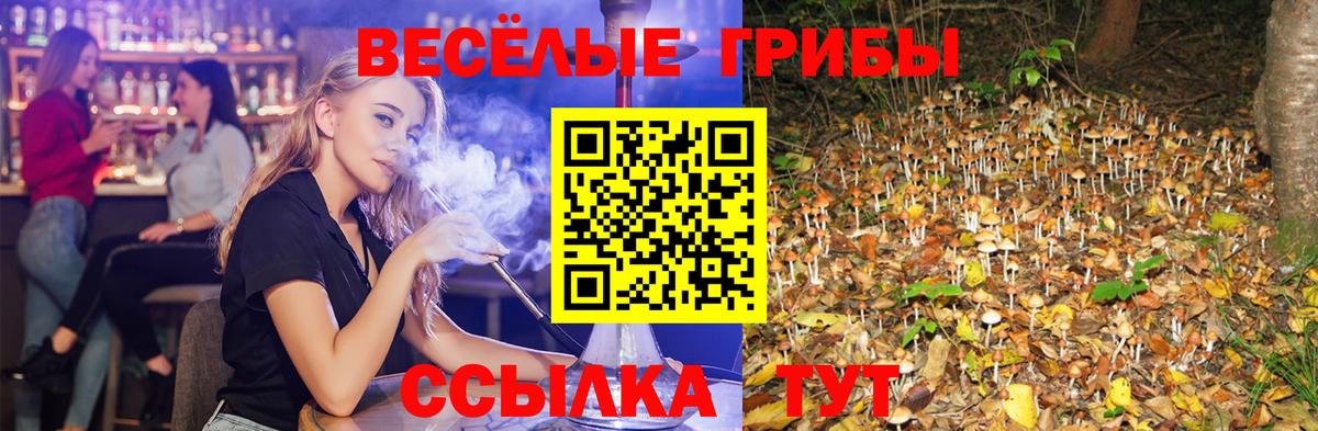Ивантеевка  Галлюциногенные грибы Magic Shrooms  Вход с VPN 
